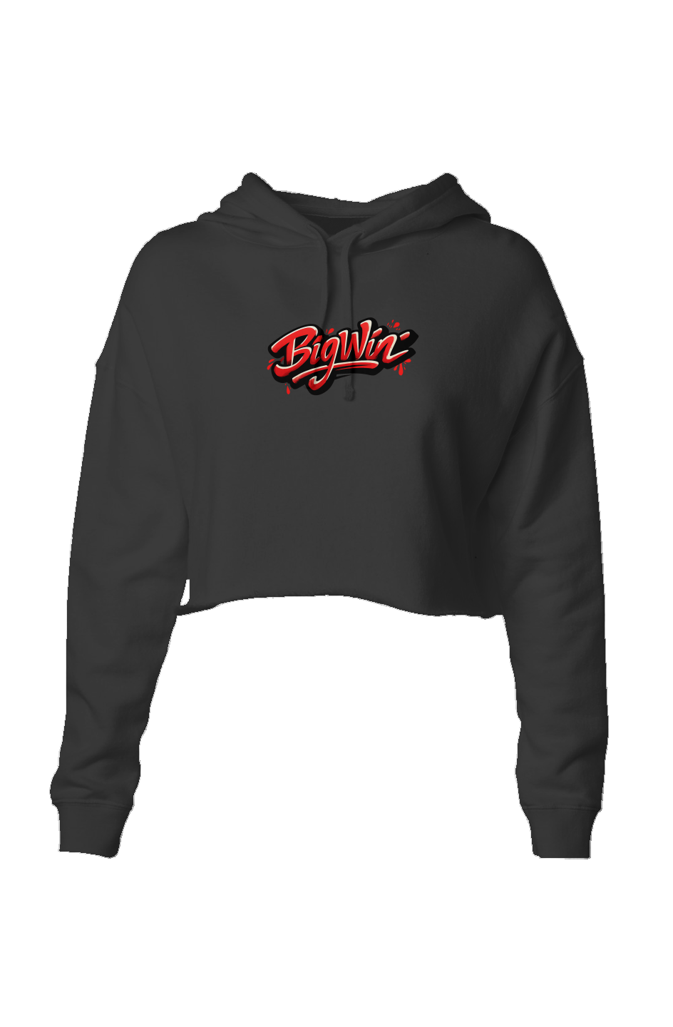 BigWin Lightweight Crop Hoodie Embroidery
